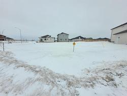 62 Wild Plum Lane Steinbach, MB R5G 2Z1