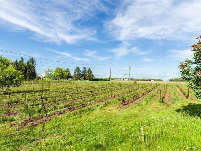Courtyard - 136 Rg Grand-Sabrevois, Sainte-Anne-De-Sabrevois, QC - Outdoor With View