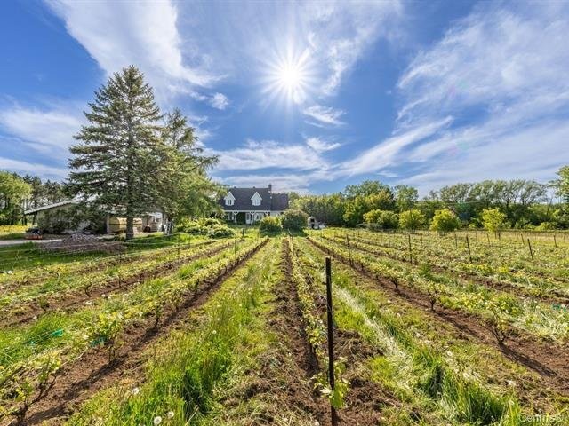 Courtyard - 136 Rg Grand-Sabrevois, Sainte-Anne-De-Sabrevois, QC - Outdoor With View