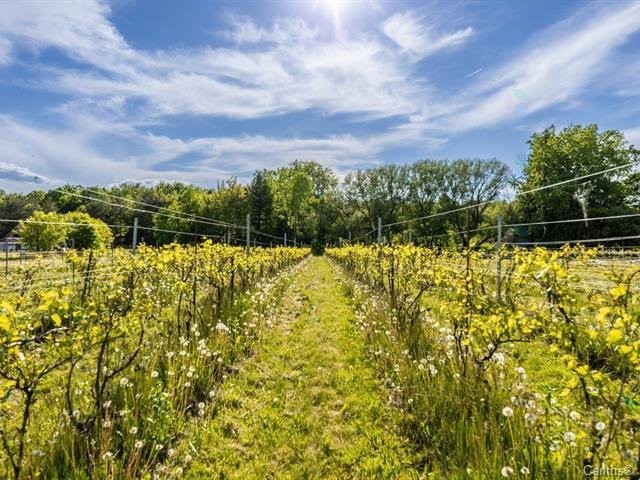 Other - 136 Rg Grand-Sabrevois, Sainte-Anne-De-Sabrevois, QC - Outdoor With View