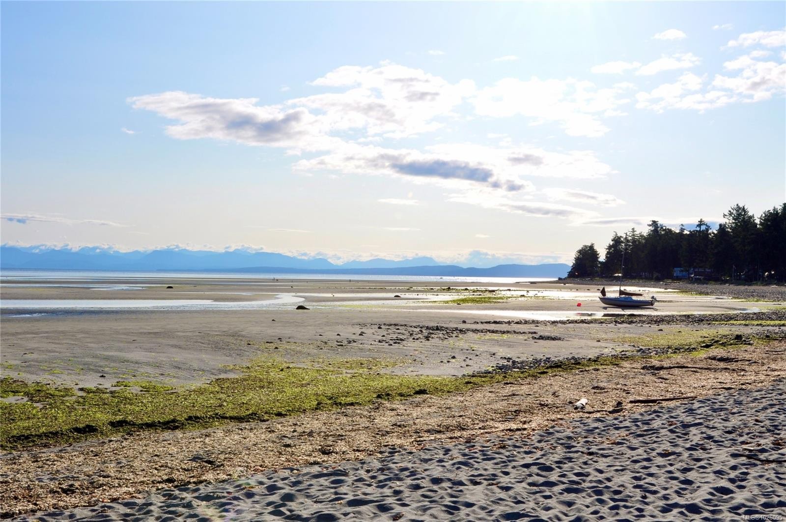 321 Wireless Rd, Comox, BC