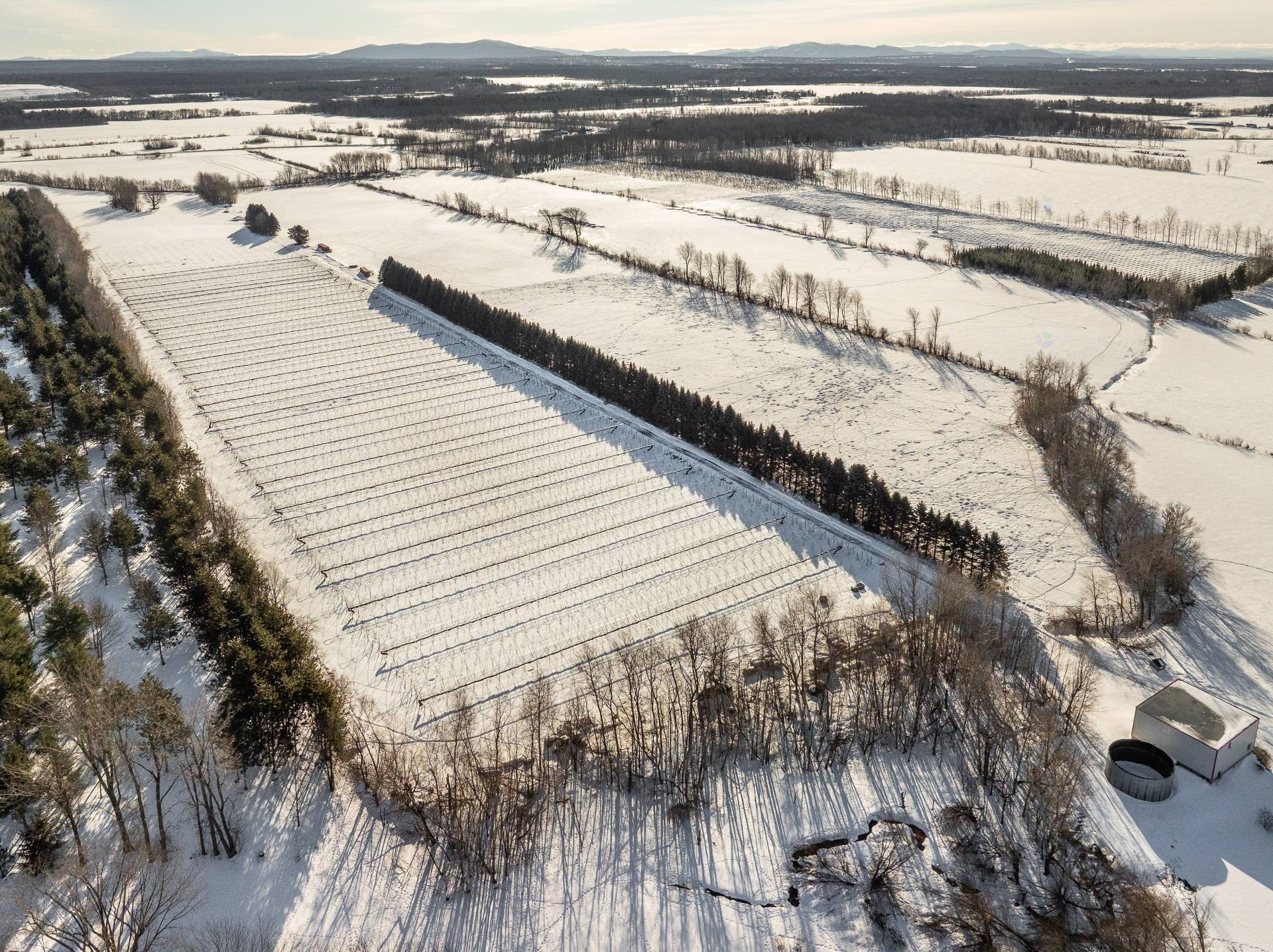 Overall view - 1125 Grand Rg St-Charles, Saint-Paul-D'Abbotsford, QC