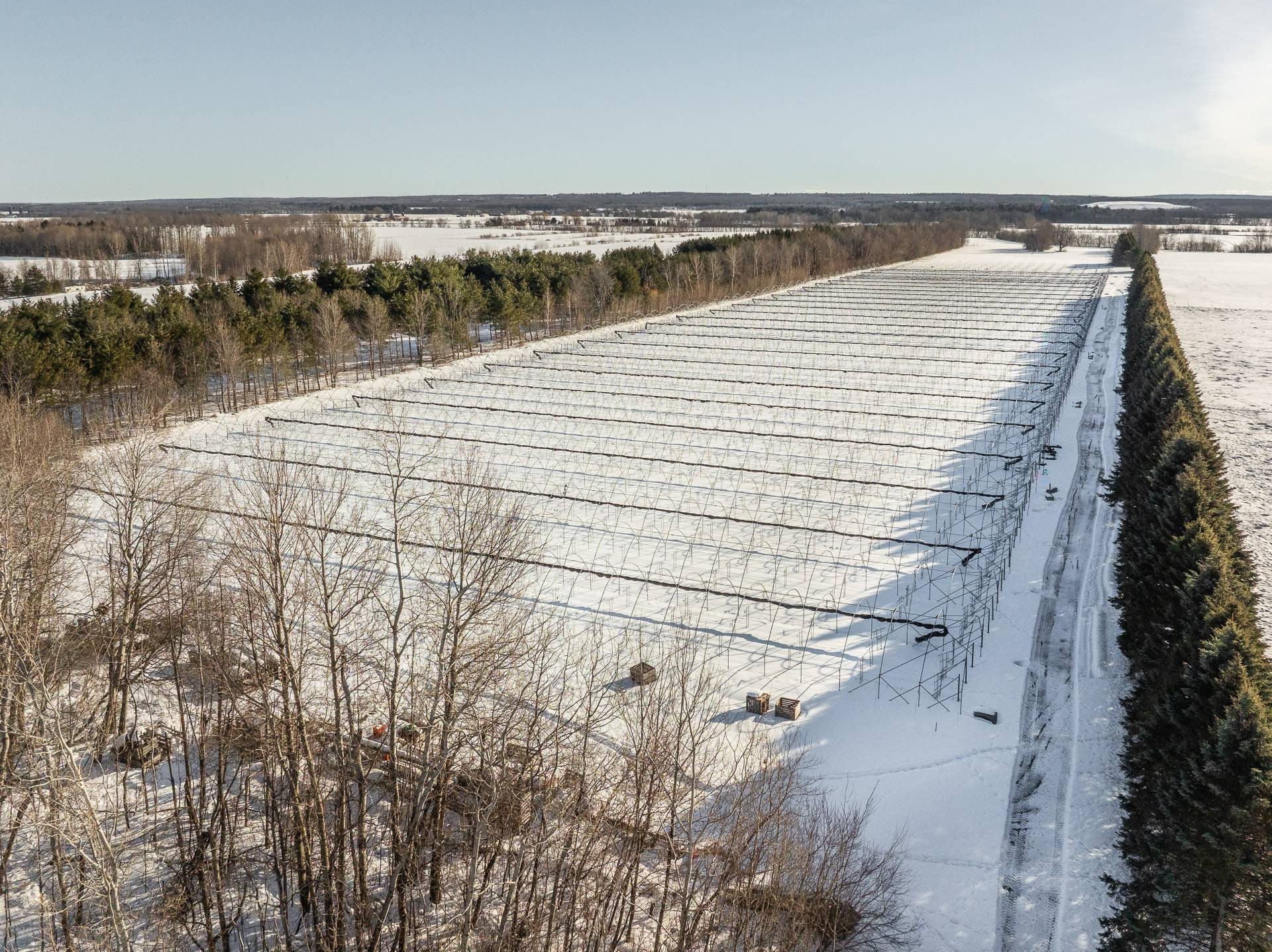 Overall view - 1125 Grand Rg St-Charles, Saint-Paul-D'Abbotsford, QC
