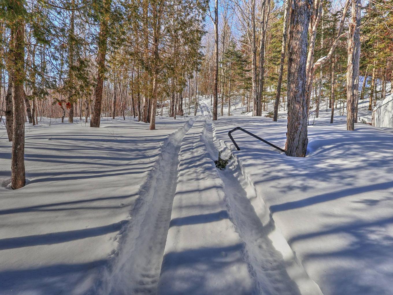 Wooded area - 903 4E Rang E., Sainte-Louise, QC - Outdoor With View