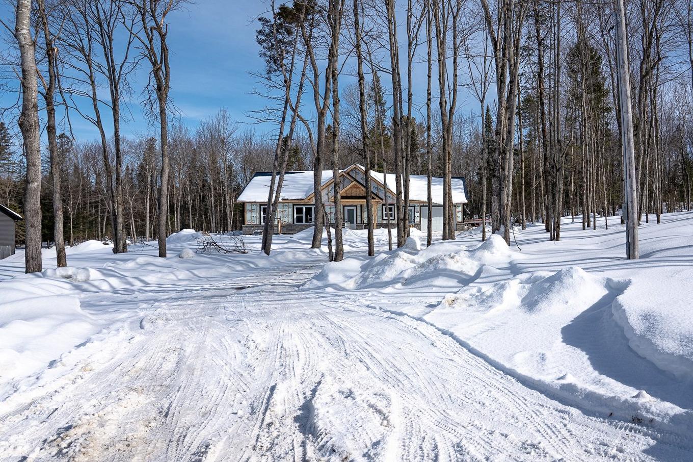 Façade - 127 Rue Des Ruisseaux, Val-Des-Sources, QC - Outdoor With View