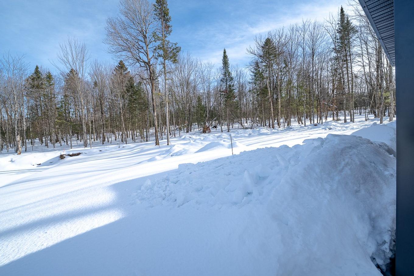 Extérieur - 127 Rue Des Ruisseaux, Val-Des-Sources, QC - Outdoor With View