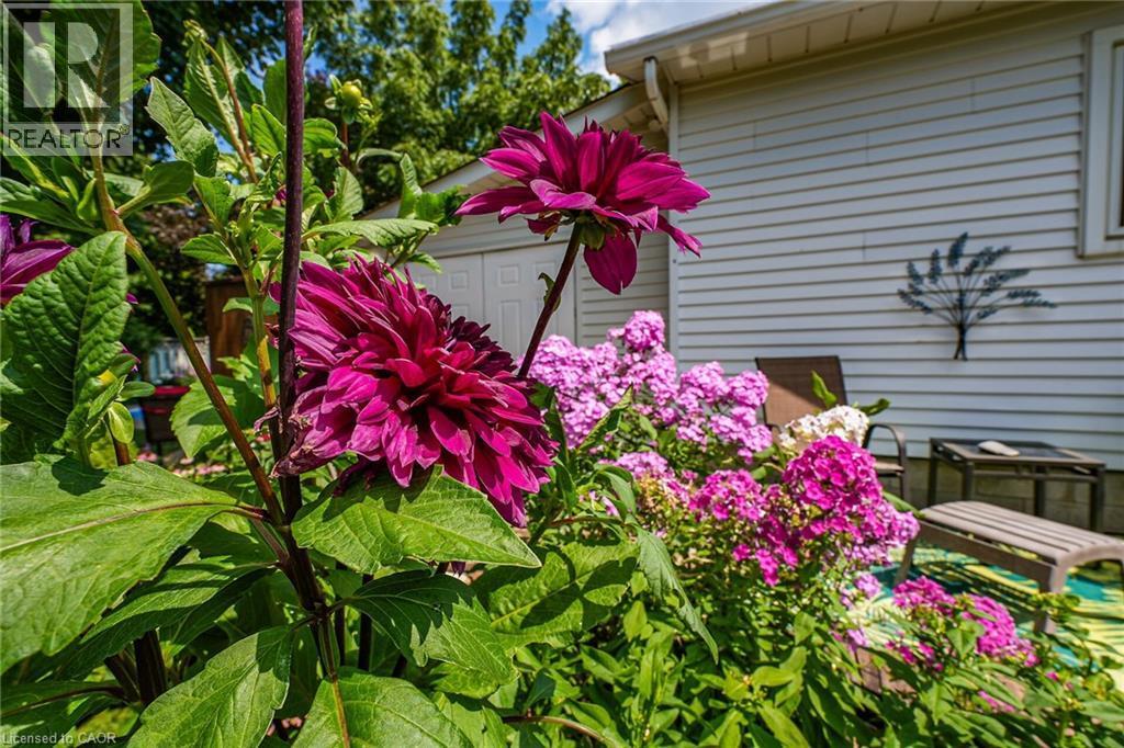 110 Livingston Avenue, Grimsby, ON - Outdoor