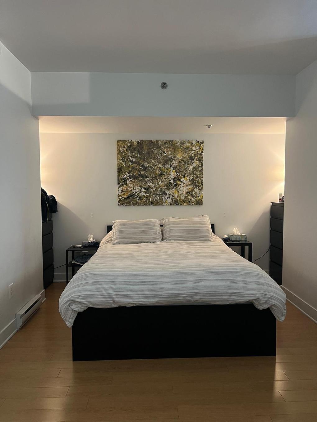 Primary bedroom - 110-7060 Rue Hutchison, Montréal (Villeray/Saint-Michel/Parc-Extension), QC - Indoor Photo Showing Bedroom