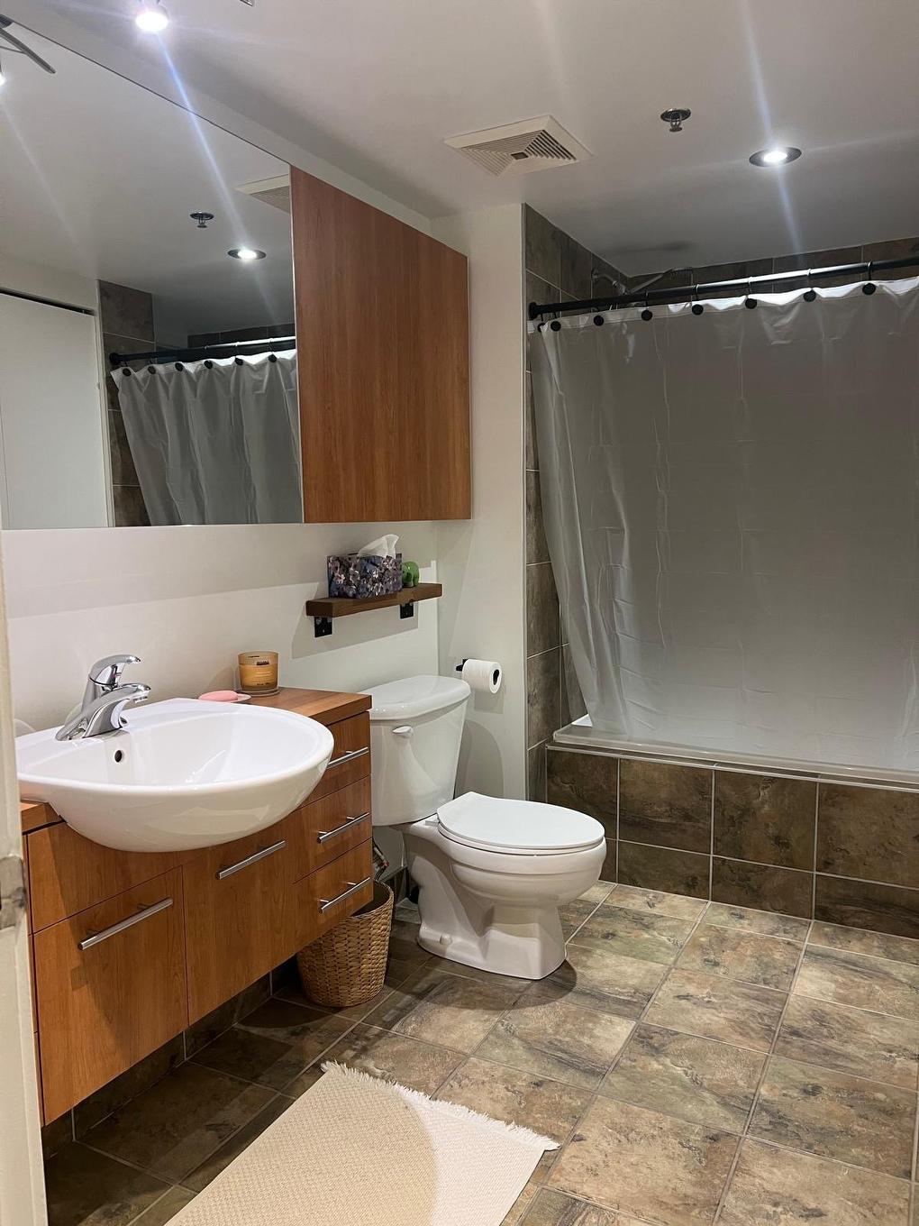 Bathroom - 110-7060 Rue Hutchison, Montréal (Villeray/Saint-Michel/Parc-Extension), QC - Indoor Photo Showing Bathroom