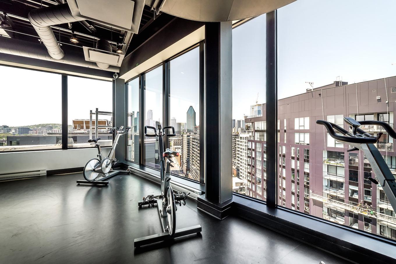 Exercise room - 1204-1085 Rue Smith, Montréal (Le Sud-Ouest), QC - Indoor Photo Showing Gym Room