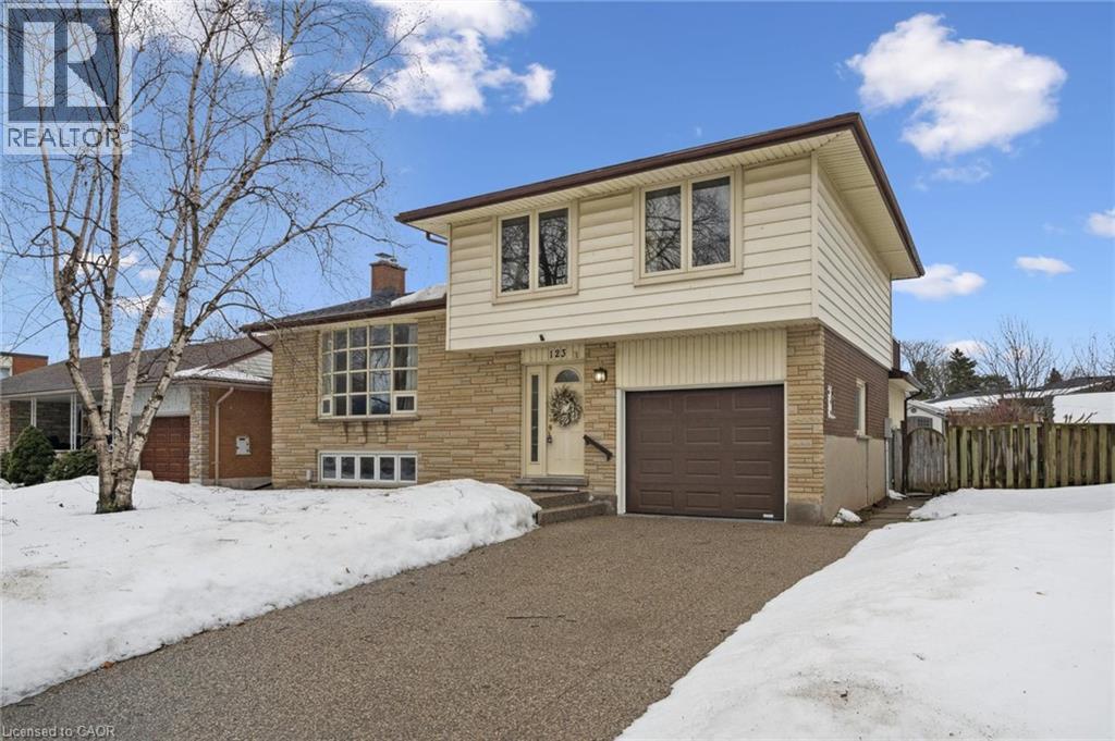 123 Lorraine Avenue, Kitchener, ON - Outdoor