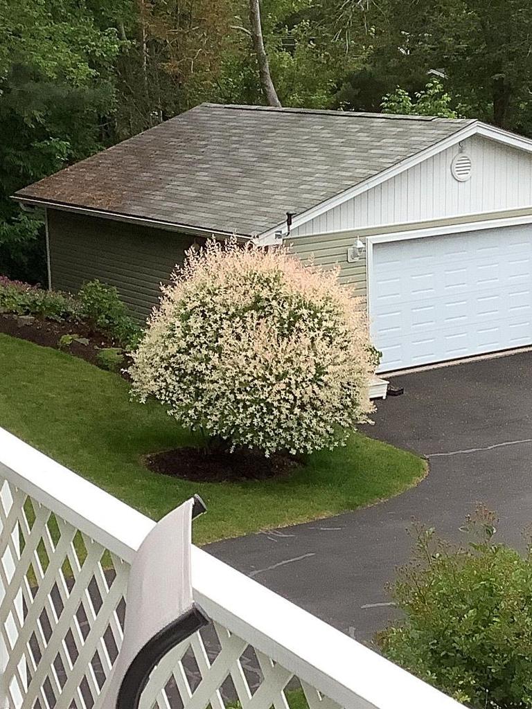 5442 Highway 2, Grand Lake, NS