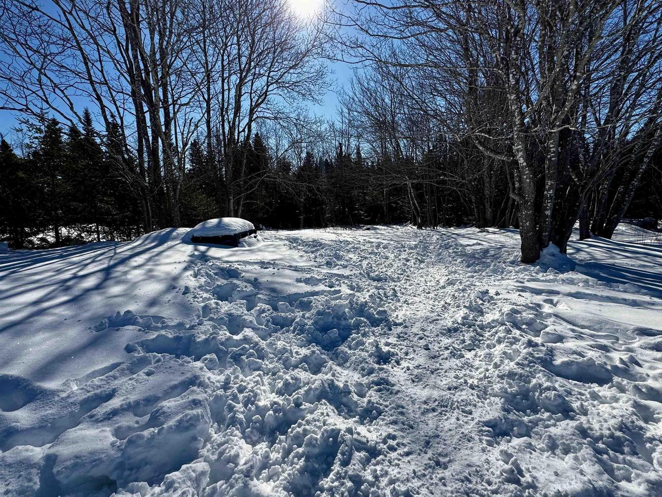 85 Highway 320, Grande Anse, NS