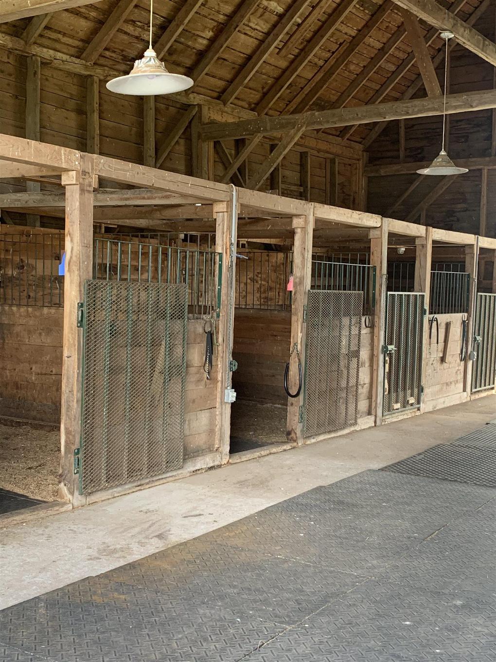 1316 Blue Sea Road, Malagash Point, NS