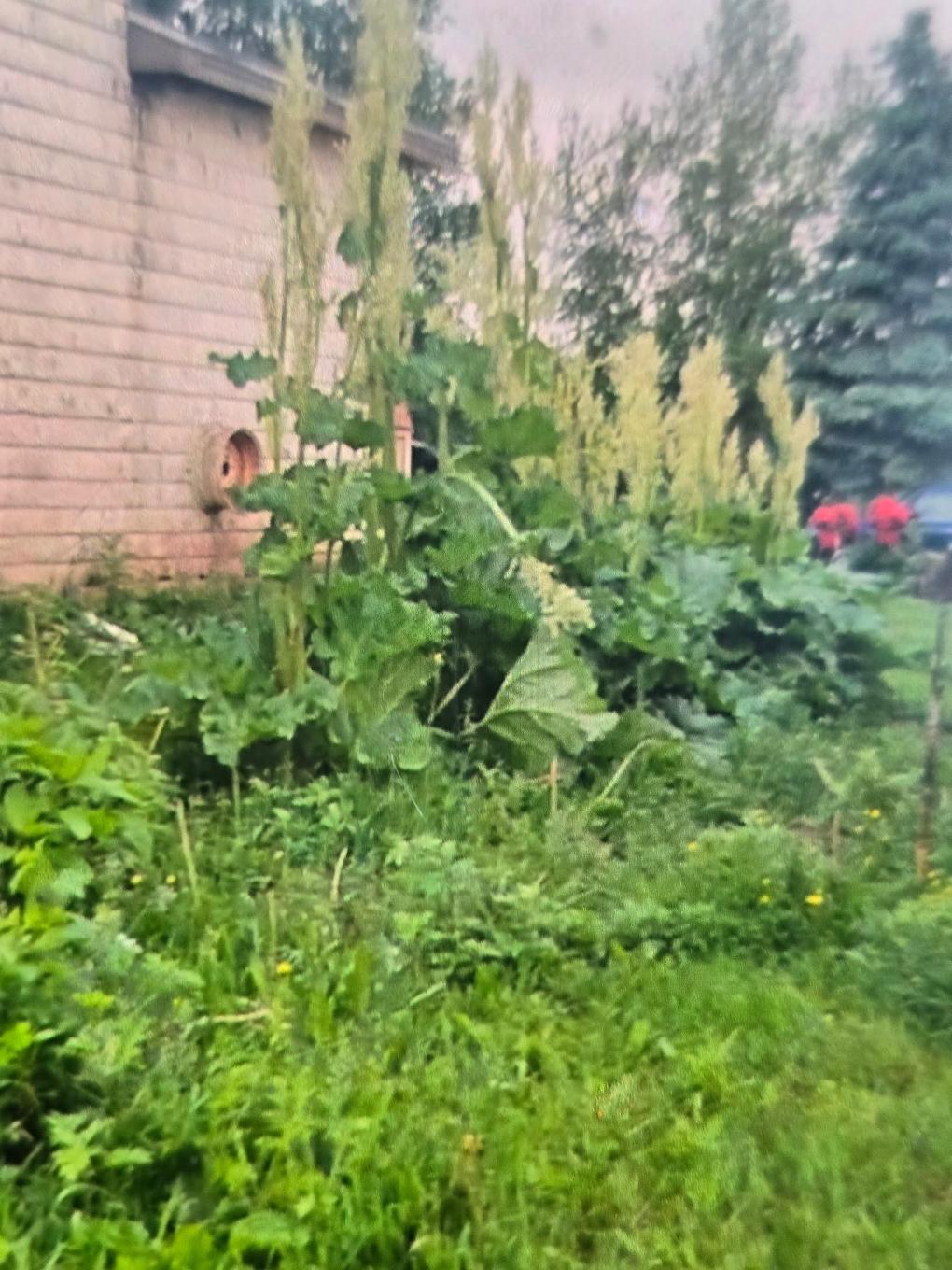 651 Higgins Road, St. Gilbert, PE