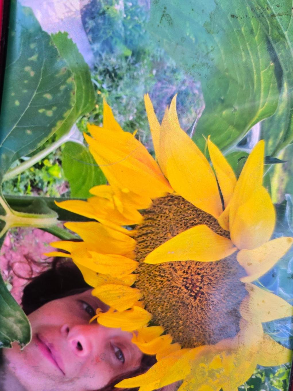 651 Higgins Road, St. Gilbert, PE