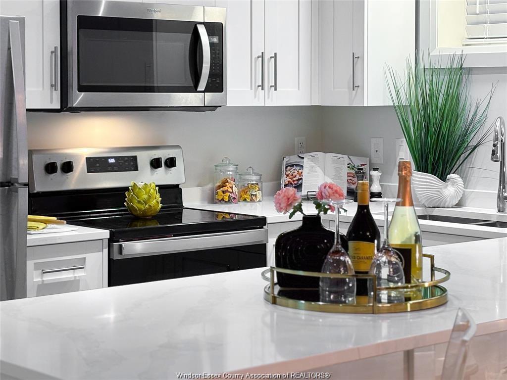 301-233 Watson, Windsor, ON