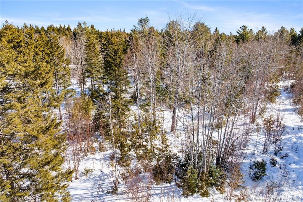 Lot Rte 3 Rte, York Mills, NB