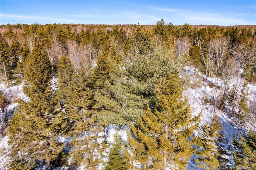 Lot Rte 3 Rte, York Mills, NB