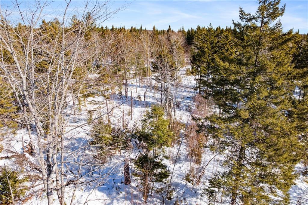 Lot Rte 3 Rte, York Mills, NB