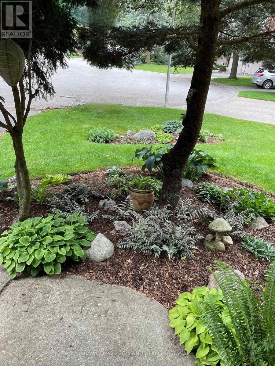 Welcome Home! View Out the Front Door! - 126 Somerset Road, London South (South K), ON - Outdoor