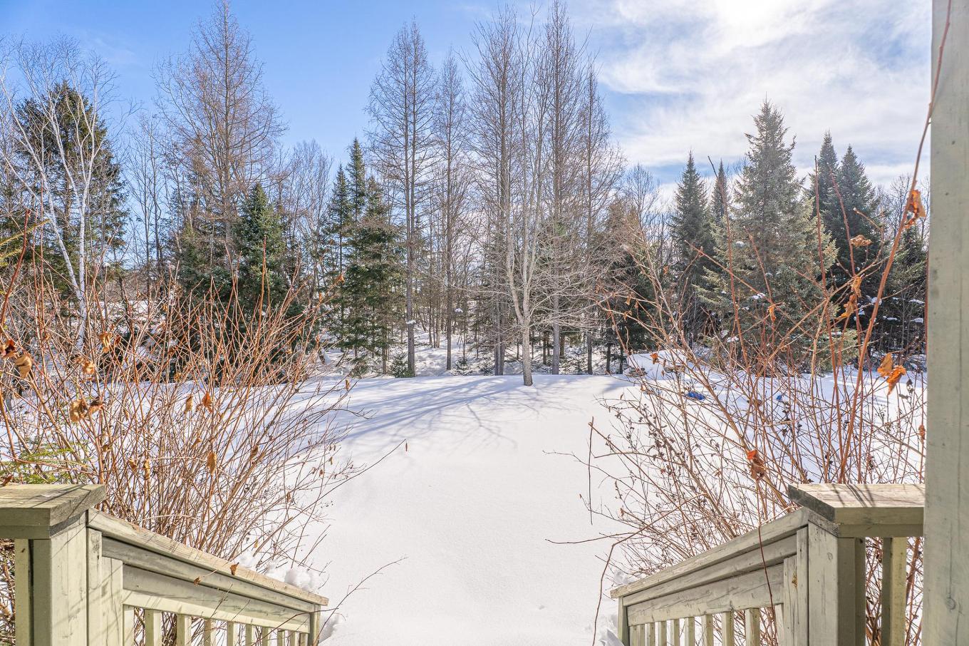 Cour - 38 Imp. Denise, Lac-Supérieur, QC - Outdoor With View