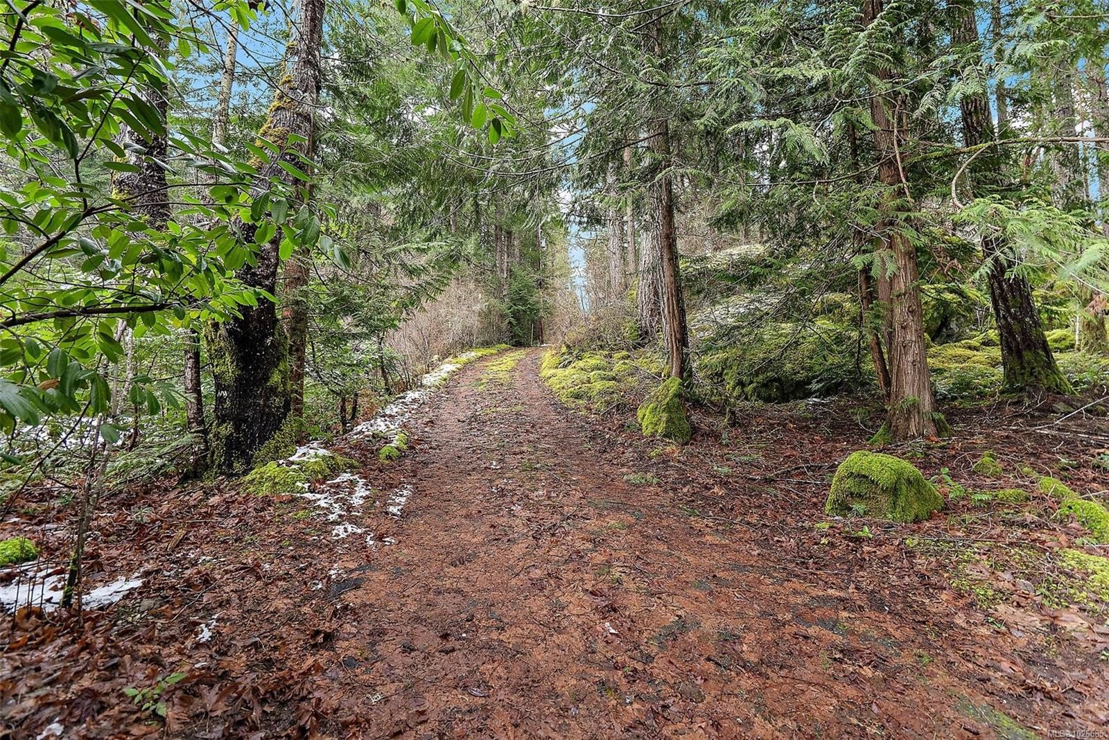 1894 Lakewood Rd, Shawnigan Lake, BC