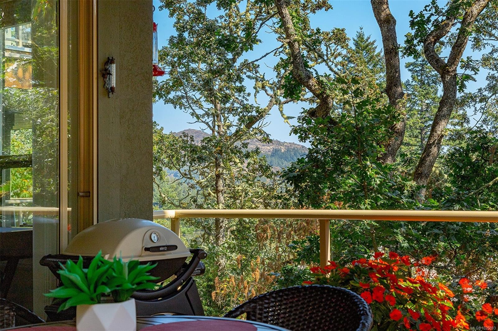 4-910 Maltwood Terr, Saanich, BC - Outdoor