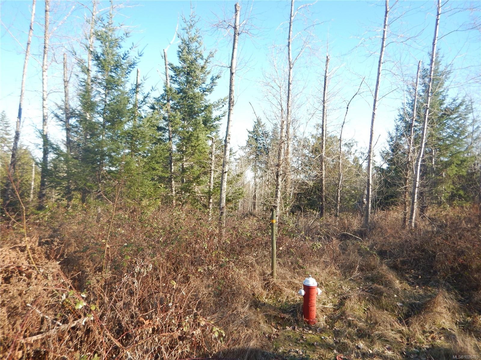 Lot 2 Artela Dr, Fanny Bay, BC