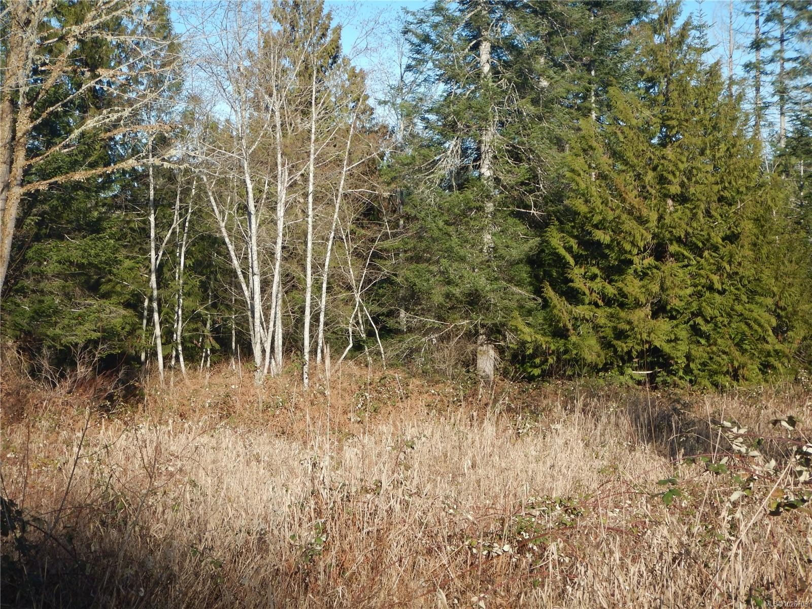 Lot 2 Artela Dr, Fanny Bay, BC