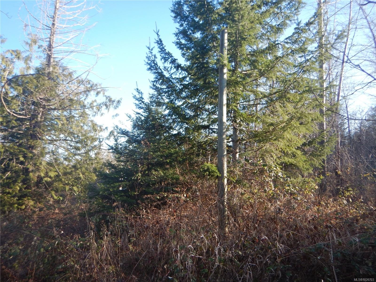 Lot 2 Artela Dr, Fanny Bay, BC