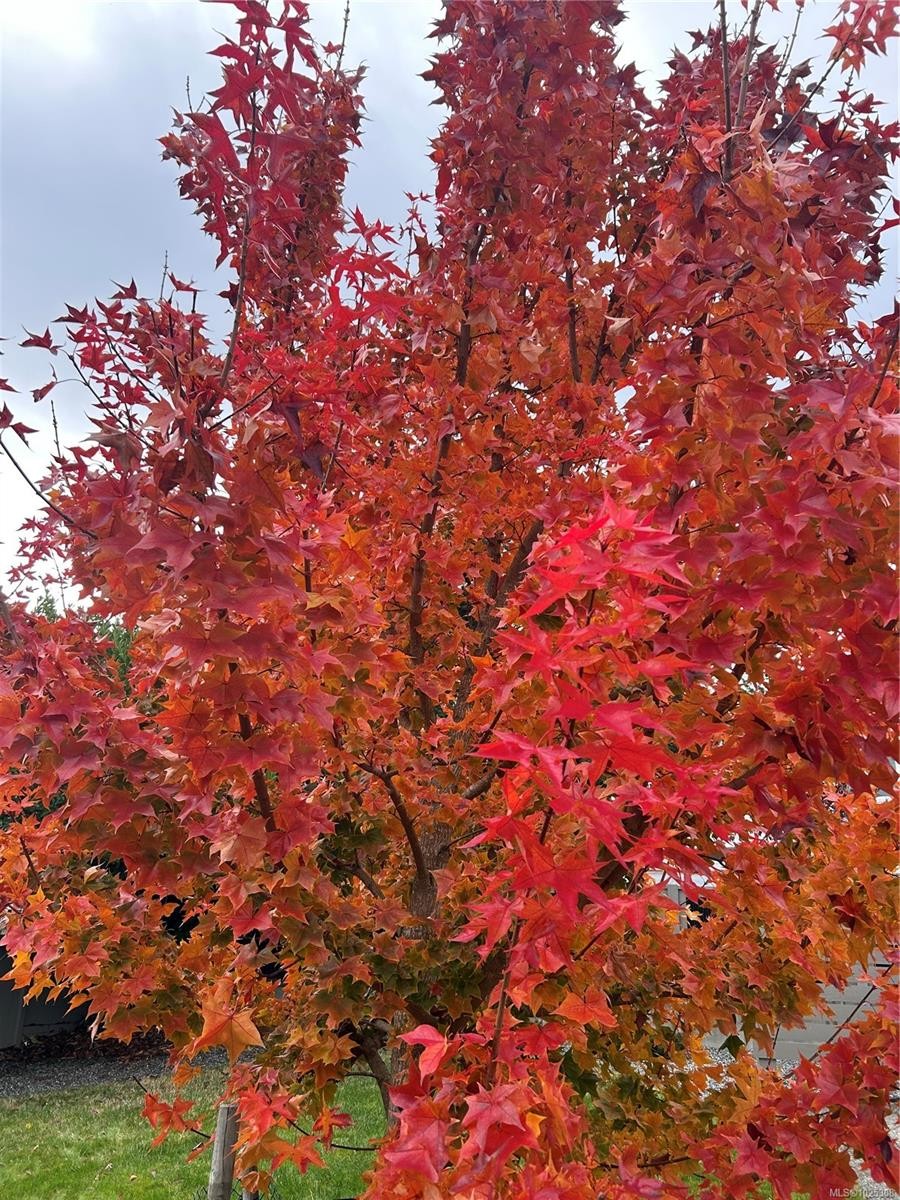 93 Cilaire Dr, Nanaimo, BC