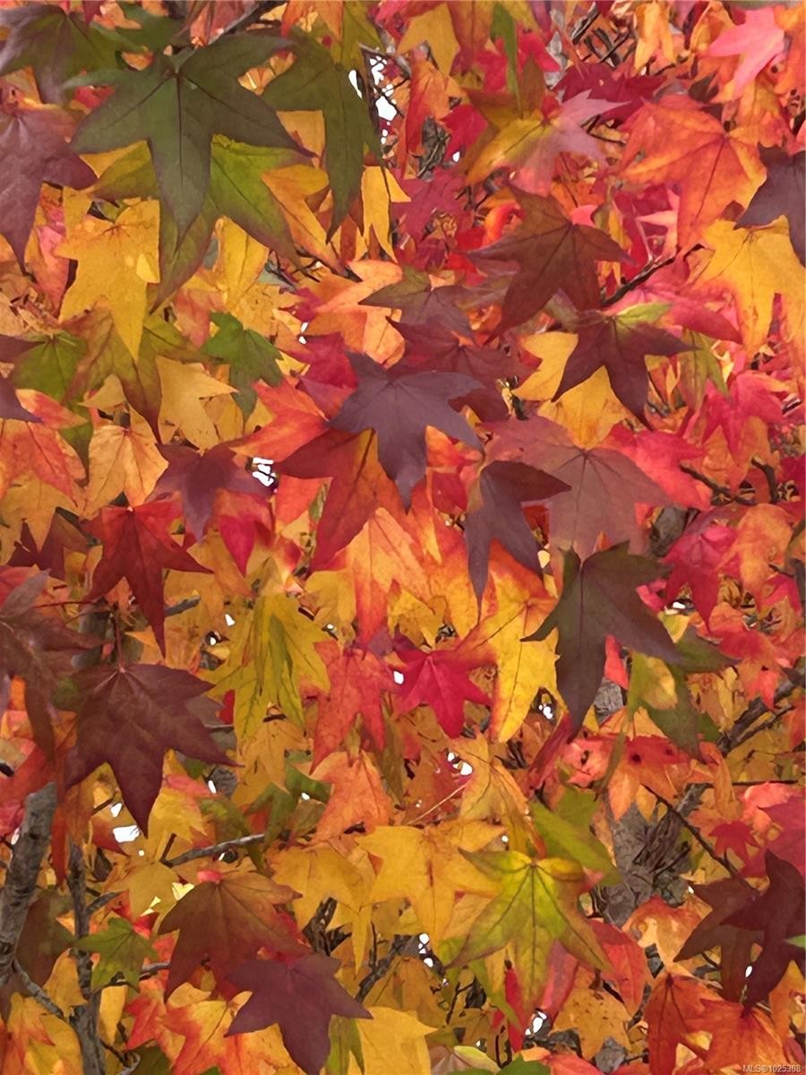 93 Cilaire Dr, Nanaimo, BC