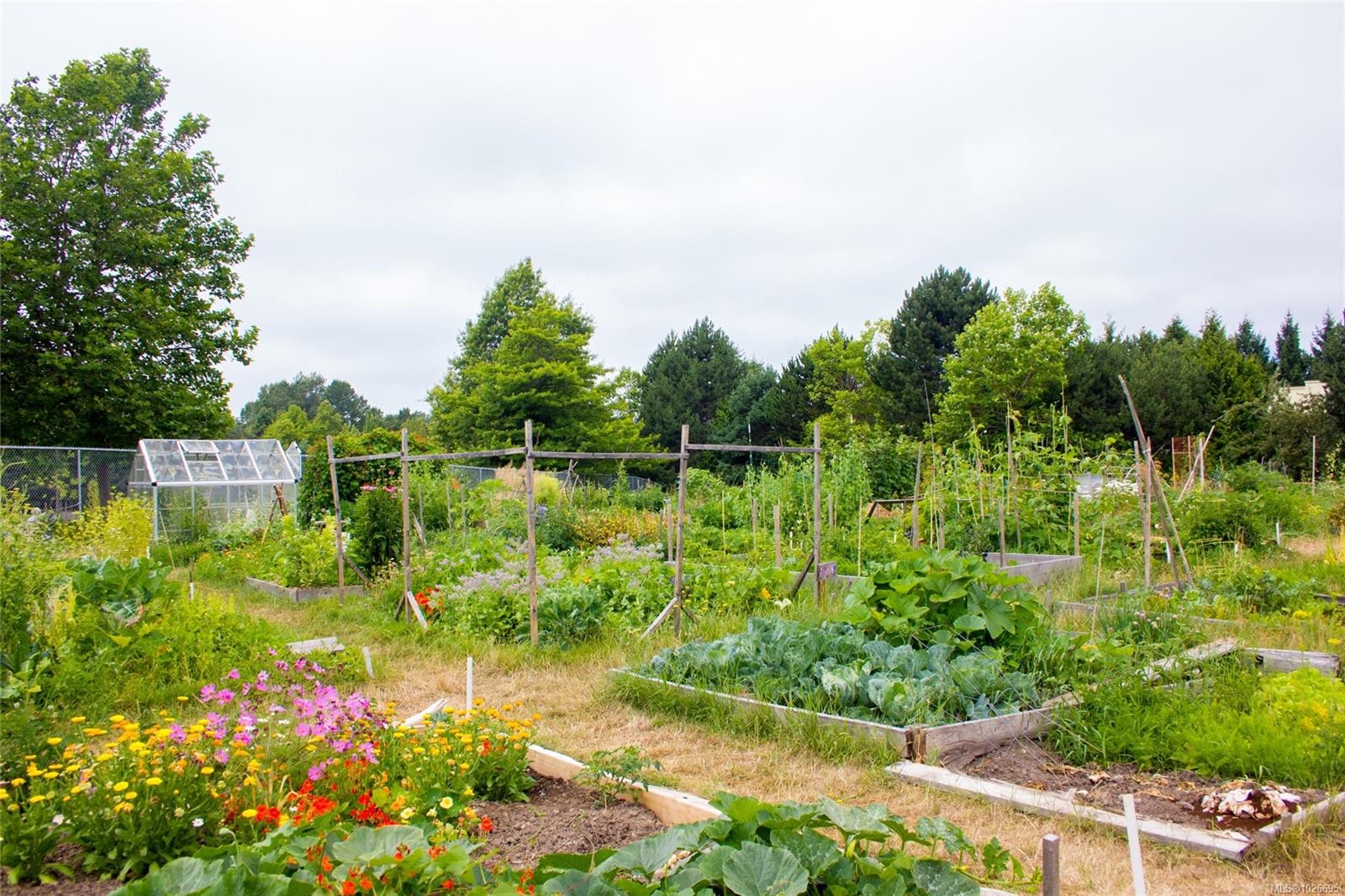 2320 Hazelton Pl, Saanich, BC