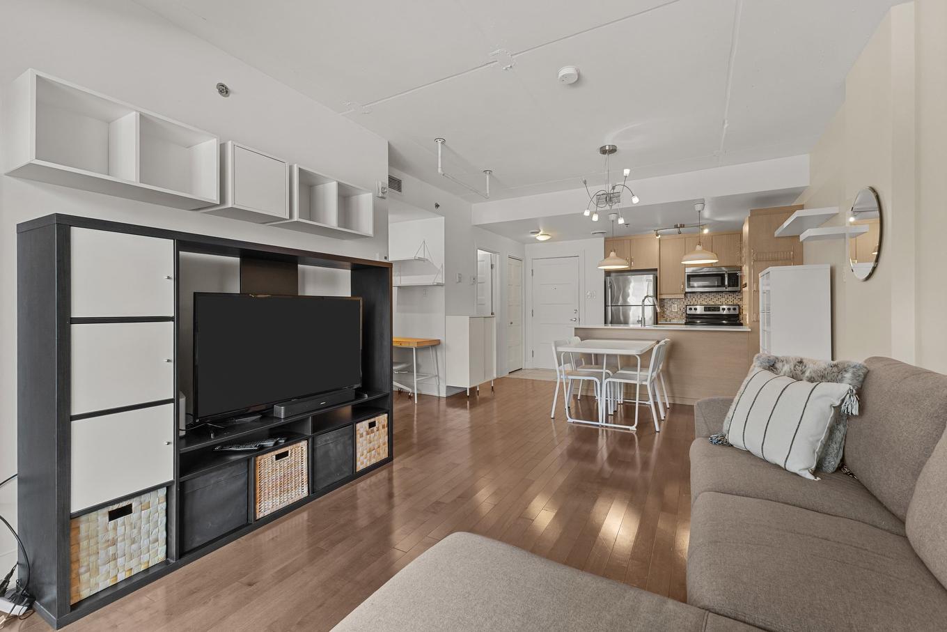 Living room - 203-2229 Rue Ste-Catherine E., Montréal (Ville-Marie), QC - Indoor Photo Showing Living Room