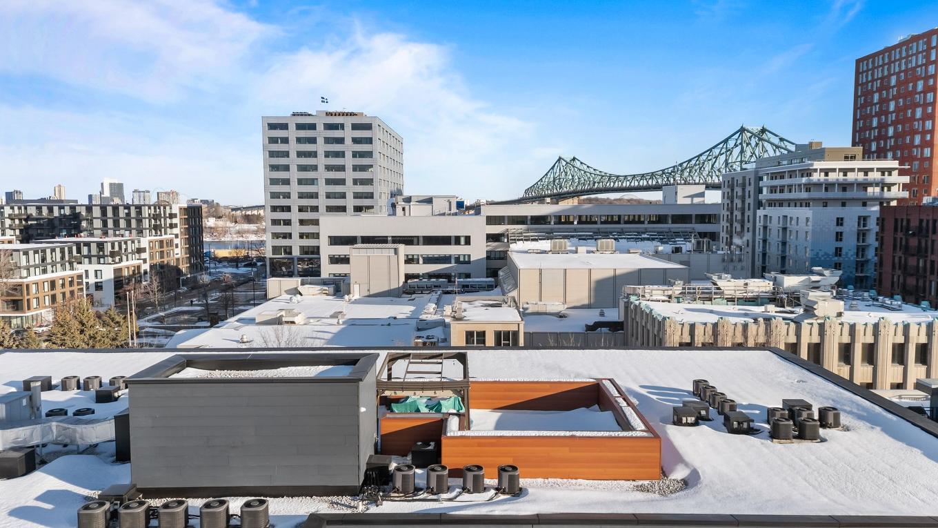 Patio - 203-2229 Rue Ste-Catherine E., Montréal (Ville-Marie), QC - Outdoor