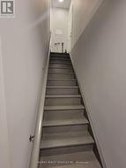 Basement stairs -