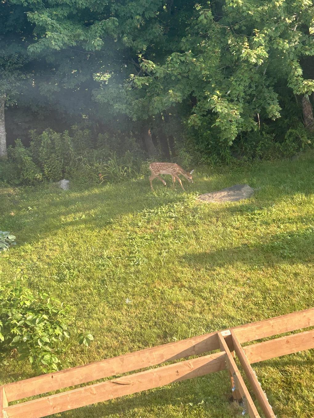 5 Apollo Court, Halifax, NS