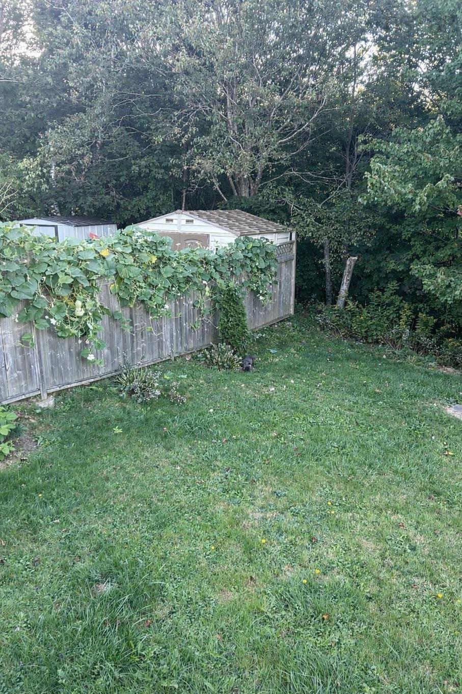 5 Apollo Court, Halifax, NS