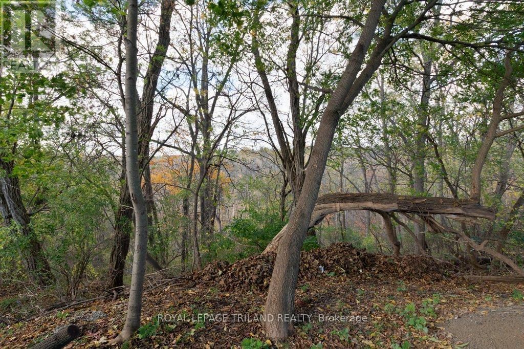 40 St George Street, St. Thomas, ON - Outdoor With View