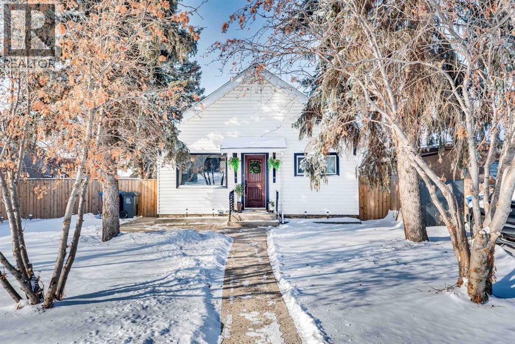 215 4 Avenue Se, Three Hills, AB - Outdoor