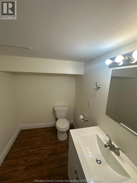 4132 Mount Royal Unit# Lower, Windsor, ON - Indoor Photo Showing Bathroom