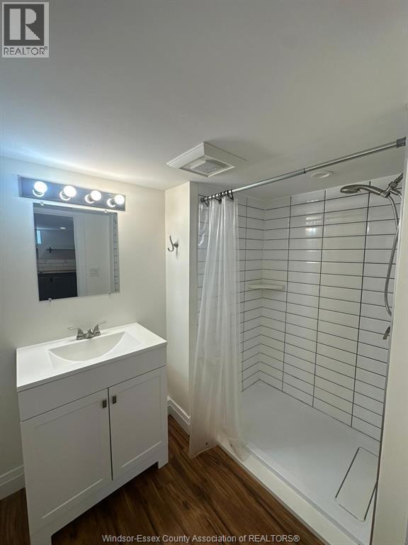 4132 Mount Royal Unit# Lower, Windsor, ON - Indoor Photo Showing Bathroom