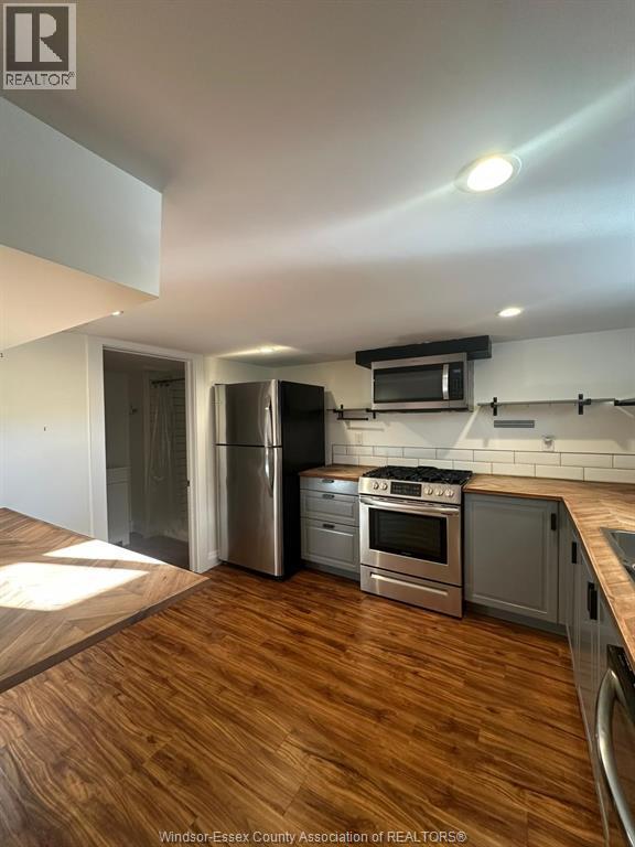 4132 Mount Royal Unit# Lower, Windsor, ON - Indoor Photo Showing Kitchen With Stainless Steel Kitchen