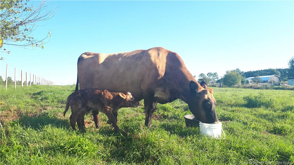 5356 Route 114, Hopewell Hill, NB