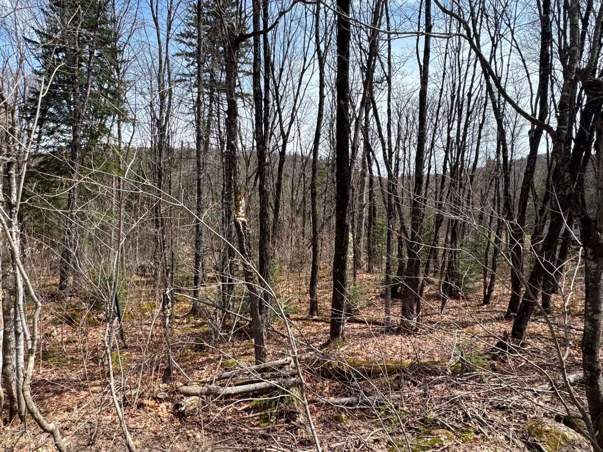 Extérieur - 638 Ch. Régimbald, Saint-Donat, QC