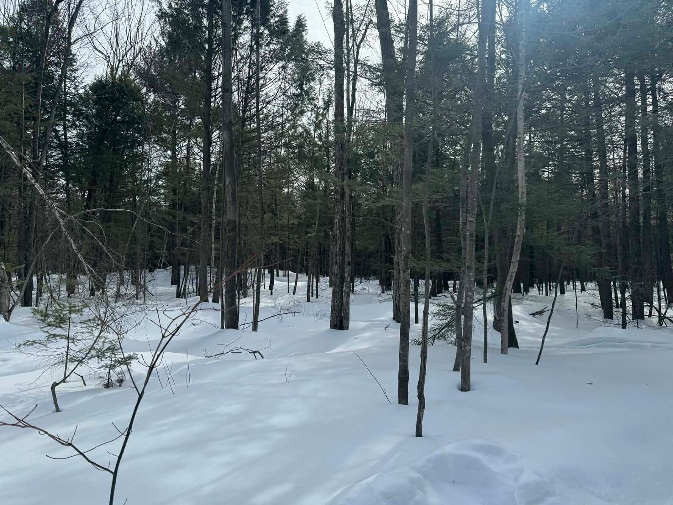 Exterior - 638 Ch. Régimbald, Saint-Donat, QC