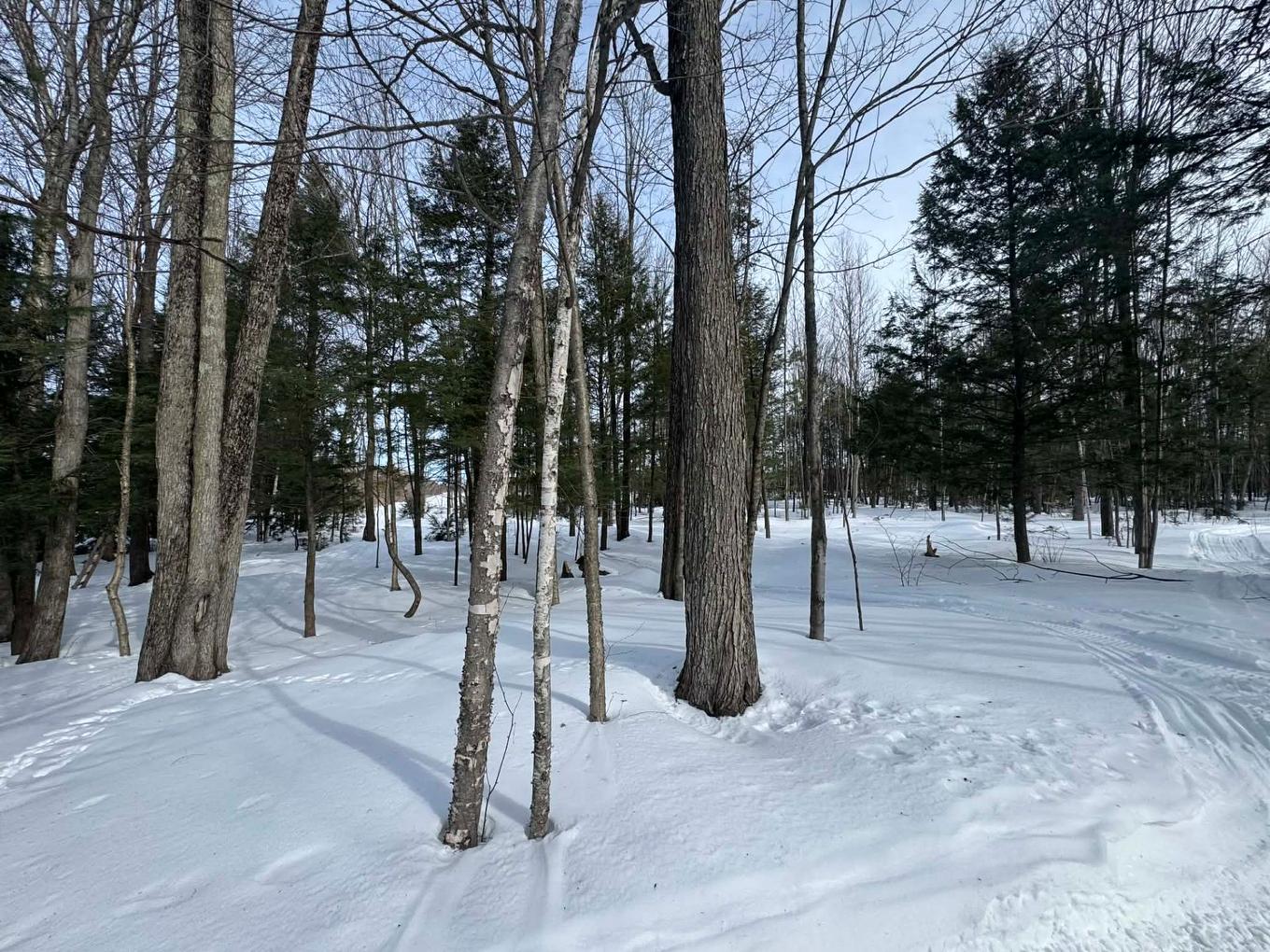 Exterior - 638 Ch. Régimbald, Saint-Donat, QC