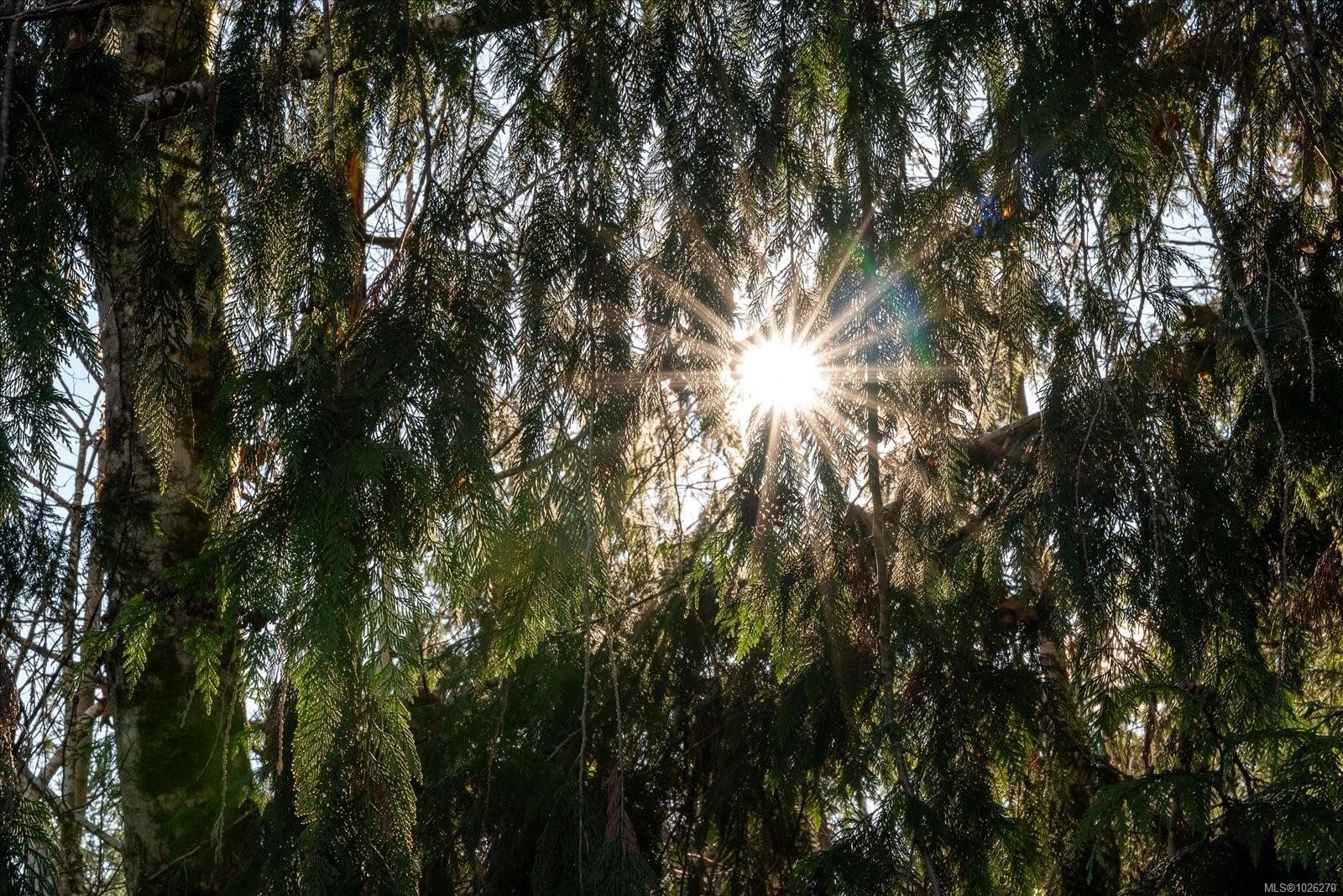 12-10750 Central Lake Rd, Port Alberni, BC