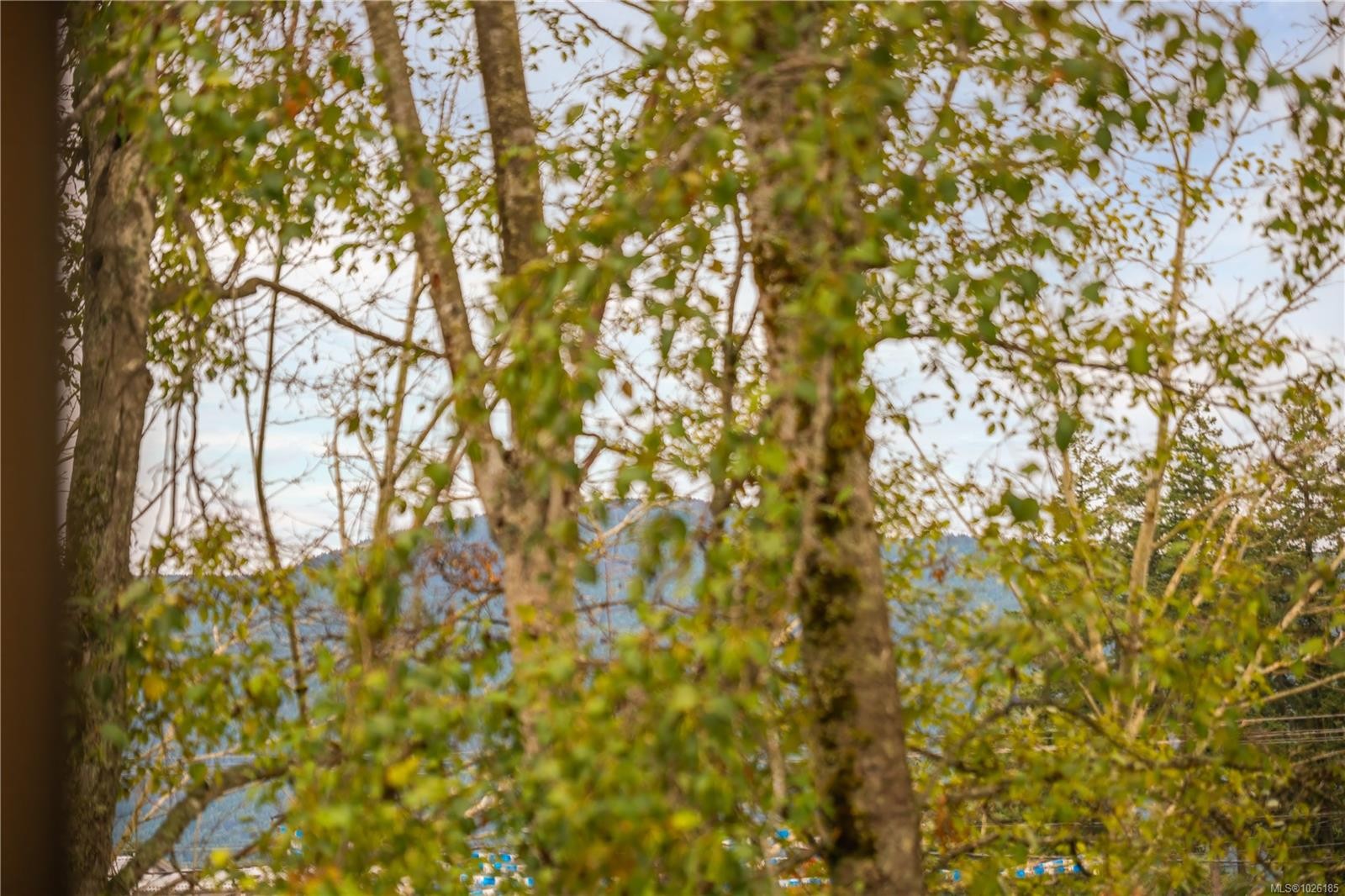 4193 Corunna Ave, Nanaimo, BC